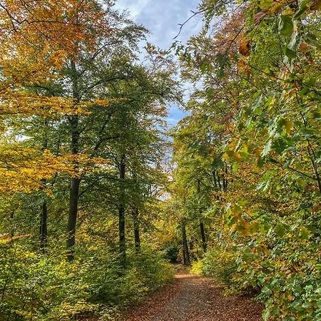 Santino דירה גוסלר