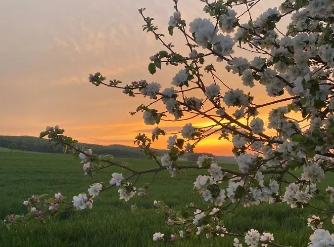 Διαμέρισμα Santino *